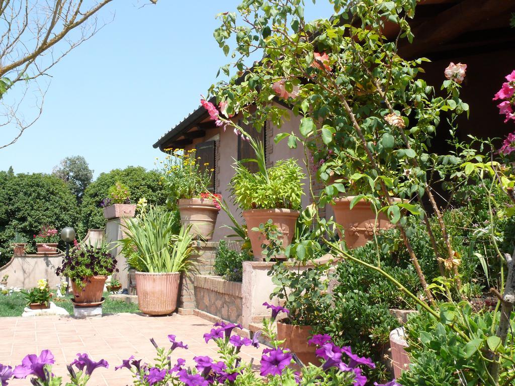 Agriturismo Da Lorena Marsiliana Exterior photo